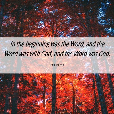 Picture 06 - John 1:1 ASV - In the beginning was the Word, and the Word was - Bible Verse Picture