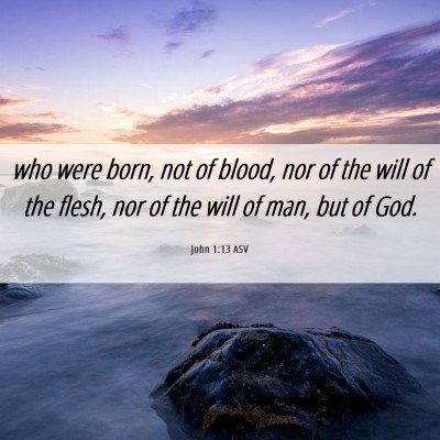 Picture 06 - John 1:13 ASV - who were born, not of blood, nor of the will of - Bible Verse Picture