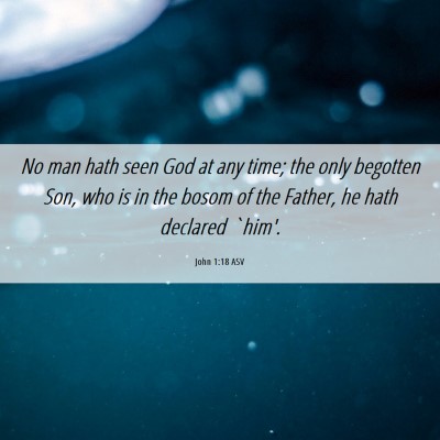 Picture 06 - John 1:18 ASV - No man hath seen God at any time; the only - Bible Verse Picture