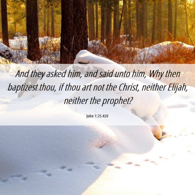 Picture 06 - John 1:25 ASV - And they asked him, and said unto him, Why then - Bible Verse Picture