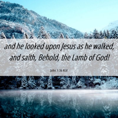 Picture 06 - John 1:36 ASV - and he looked upon Jesus as he walked, and saith, - Bible Verse Picture