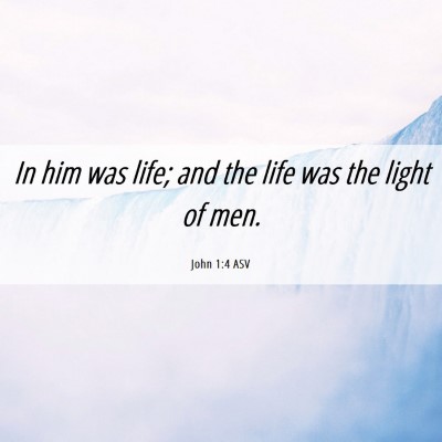 Picture 06 - John 1:4 ASV - In him was life; and the life was the light of - Bible Verse Picture