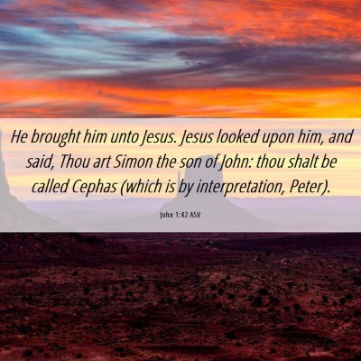 Picture 06 - John 1:42 ASV - He brought him unto Jesus. Jesus looked upon him, - Bible Verse Picture