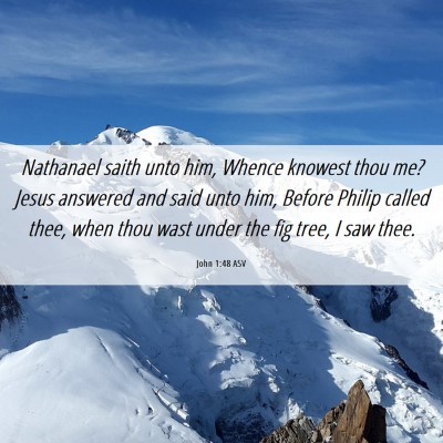 Picture 06 - John 1:48 ASV - Nathanael saith unto him, Whence knowest thou me? - Bible Verse Picture