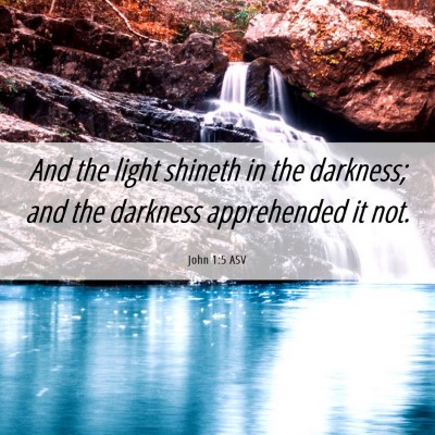 Picture 06 - John 1:5 ASV - And the light shineth in the darkness; and the - Bible Verse Picture