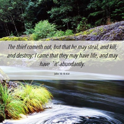 Picture 06 - John 10:10 ASV - The thief cometh not, but that he may steal, and - Bible Verse Picture
