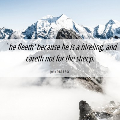 Picture 06 - John 10:13 ASV - `he fleeth' because he is a hireling, and careth - Bible Verse Picture