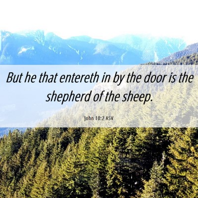 Picture 06 - John 10:2 ASV - But he that entereth in by the door is the - Bible Verse Picture