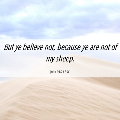 Picture 06 - John 10:26 ASV - But ye believe not, because ye are not of my - Bible Verse Picture
