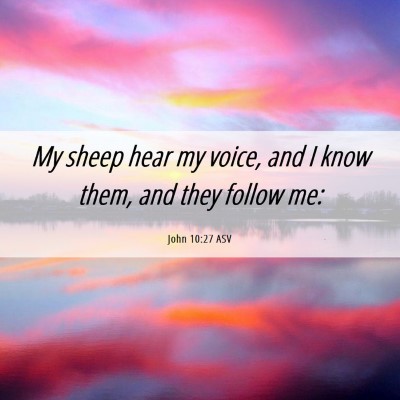 Picture 06 - John 10:27 ASV - My sheep hear my voice, and I know them, and they - Bible Verse Picture
