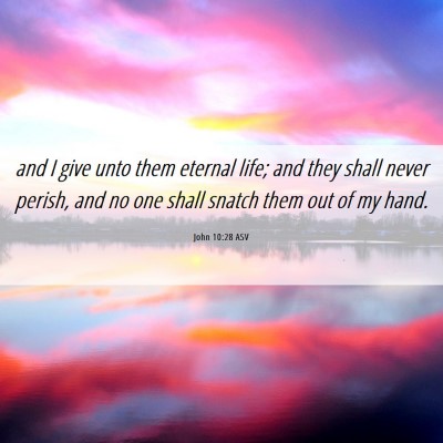 Picture 06 - John 10:28 ASV - and I give unto them eternal life; and they shall - Bible Verse Picture
