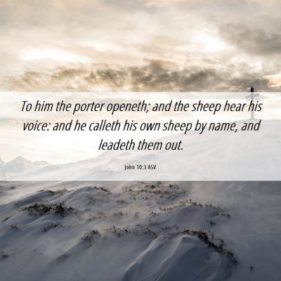 Picture 06 - John 10:3 ASV - To him the porter openeth; and the sheep hear his - Bible Verse Picture