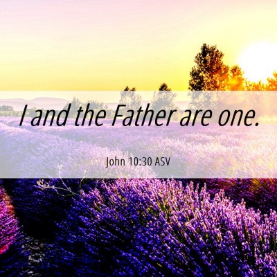 Picture 06 - John 10:30 ASV - I and the Father are - Bible Verse Picture