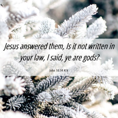 Picture 06 - John 10:34 ASV - Jesus answered them, Is it not written in your - Bible Verse Picture