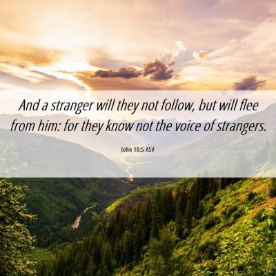 Picture 06 - John 10:5 ASV - And a stranger will they not follow, but will - Bible Verse Picture