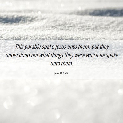 Picture 06 - John 10:6 ASV - This parable spake Jesus unto them: but they - Bible Verse Picture