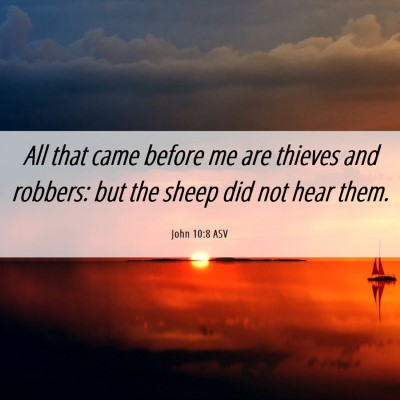Picture 06 - John 10:8 ASV - All that came before me are thieves and robbers: - Bible Verse Picture