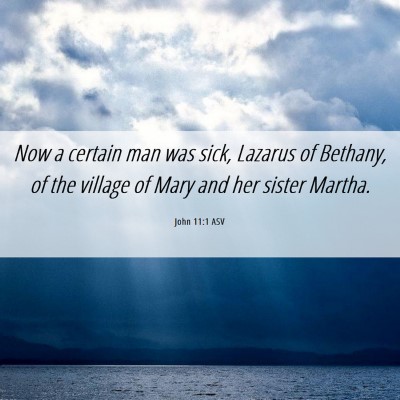 Picture 06 - John 11:1 ASV - Now a certain man was sick, Lazarus of Bethany, - Bible Verse Picture