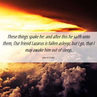 Picture 06 - John 11:11 ASV - These things spake he: and after this he saith - Bible Verse Picture