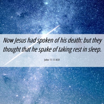 Picture 06 - John 11:13 ASV - Now Jesus had spoken of his death: but they - Bible Verse Picture