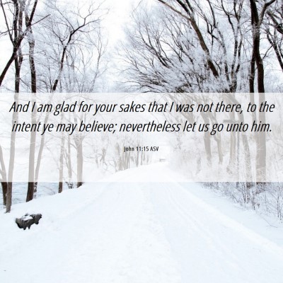 Picture 06 - John 11:15 ASV - And I am glad for your sakes that I was not - Bible Verse Picture