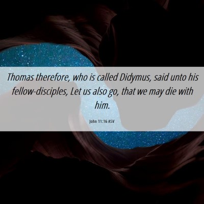 Picture 06 - John 11:16 ASV - Thomas therefore, who is called Didymus, said - Bible Verse Picture