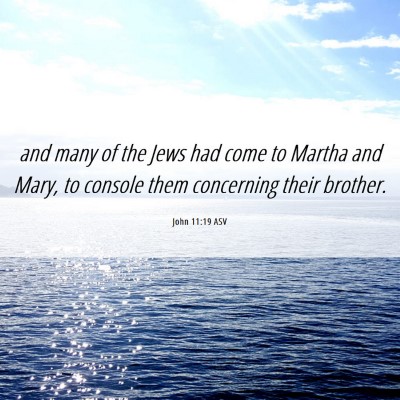 Picture 06 - John 11:19 ASV - and many of the Jews had come to Martha and Mary, - Bible Verse Picture