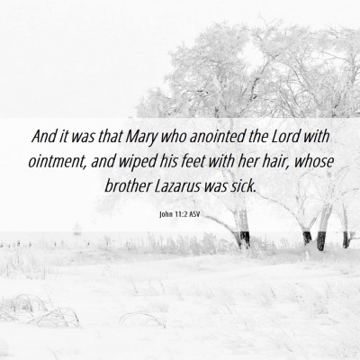 Picture 06 - John 11:2 ASV - And it was that Mary who anointed the Lord with - Bible Verse Picture