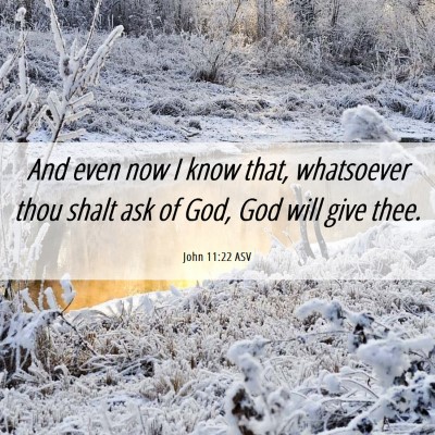 Picture 06 - John 11:22 ASV - And even now I know that, whatsoever thou shalt - Bible Verse Picture