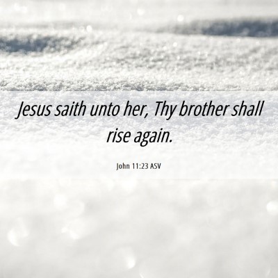 Picture 06 - John 11:23 ASV - Jesus saith unto her, Thy brother shall rise - Bible Verse Picture
