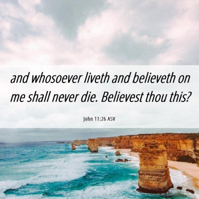 Picture 06 - John 11:26 ASV - and whosoever liveth and believeth on me shall - Bible Verse Picture