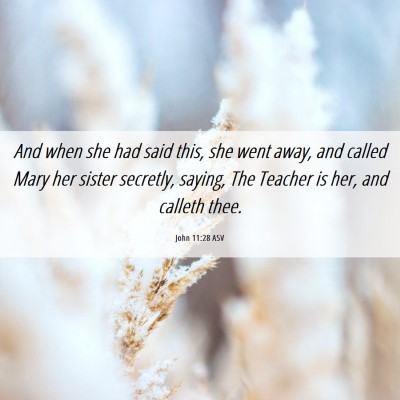 Picture 06 - John 11:28 ASV - And when she had said this, she went away, and - Bible Verse Picture