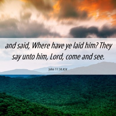 Picture 06 - John 11:34 ASV - and said, Where have ye laid him? They say unto - Bible Verse Picture