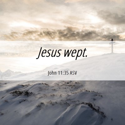 Picture 06 - John 11:35 ASV - Jesus - Bible Verse Picture