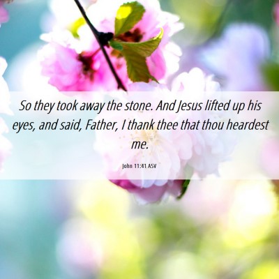 Picture 06 - John 11:41 ASV - So they took away the stone. And Jesus lifted up - Bible Verse Picture