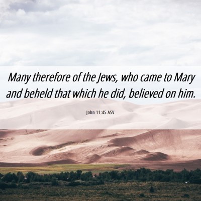 Picture 06 - John 11:45 ASV - Many therefore of the Jews, who came to Mary and - Bible Verse Picture