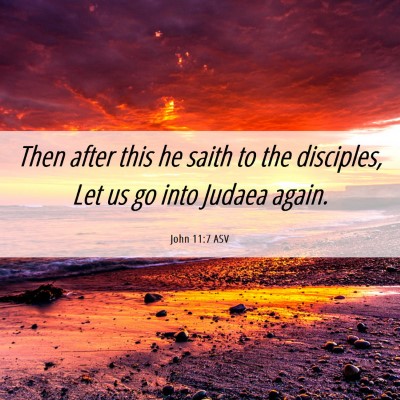 Picture 06 - John 11:7 ASV - Then after this he saith to the disciples, Let us - Bible Verse Picture