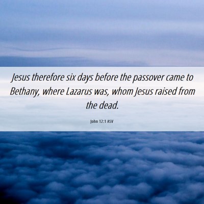 Picture 06 - John 12:1 ASV - Jesus therefore six days before the passover came - Bible Verse Picture
