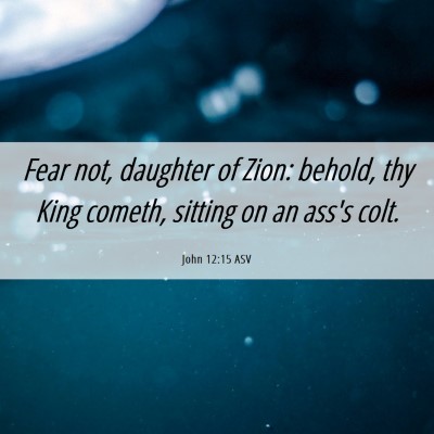 Picture 06 - John 12:15 ASV - Fear not, daughter of Zion: behold, thy King - Bible Verse Picture