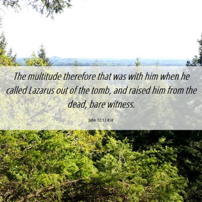 Picture 06 - John 12:17 ASV - The multitude therefore that was with him when he - Bible Verse Picture