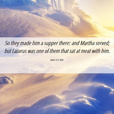 Picture 06 - John 12:2 ASV - So they made him a supper there: and Martha - Bible Verse Picture