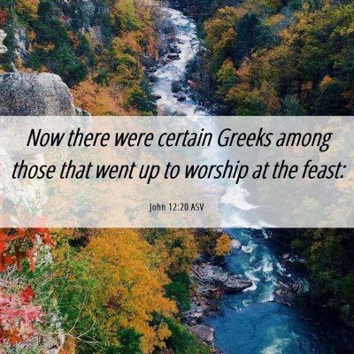 Picture 06 - John 12:20 ASV - Now there were certain Greeks among those that - Bible Verse Picture
