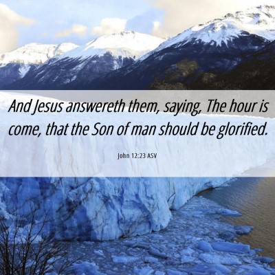Picture 06 - John 12:23 ASV - And Jesus answereth them, saying, The hour is - Bible Verse Picture