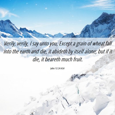 Picture 06 - John 12:24 ASV - Verily, verily, I say unto you, Except a grain of - Bible Verse Picture