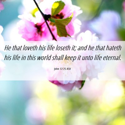 Picture 06 - John 12:25 ASV - He that loveth his life loseth it; and he that - Bible Verse Picture