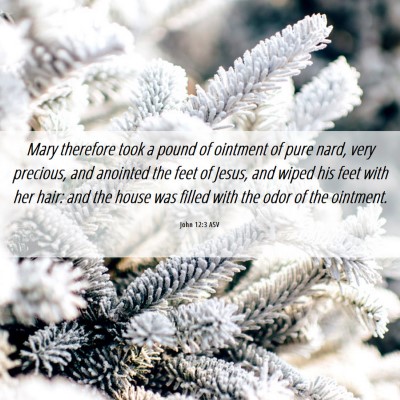 Picture 06 - John 12:3 ASV - Mary therefore took a pound of ointment of pure - Bible Verse Picture