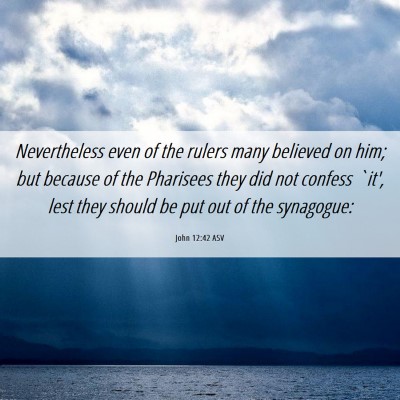 Picture 06 - John 12:42 ASV - Nevertheless even of the rulers many believed on - Bible Verse Picture
