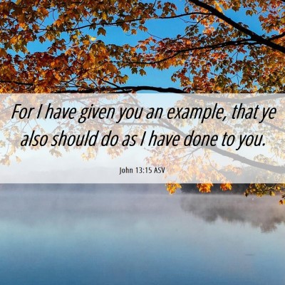 Picture 06 - John 13:15 ASV - For I have given you an example, that ye also - Bible Verse Picture