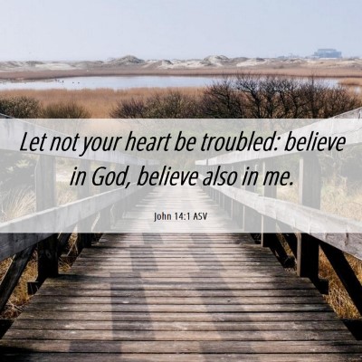 Picture 06 - John 14:1 ASV - Let not your heart be troubled: believe in God, - Bible Verse Picture