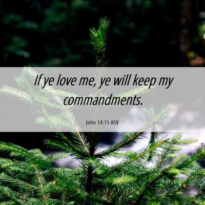Picture 06 - John 14:15 ASV - If ye love me, ye will keep my - Bible Verse Picture